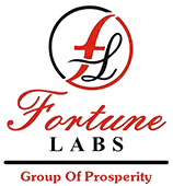 Fortune Labs